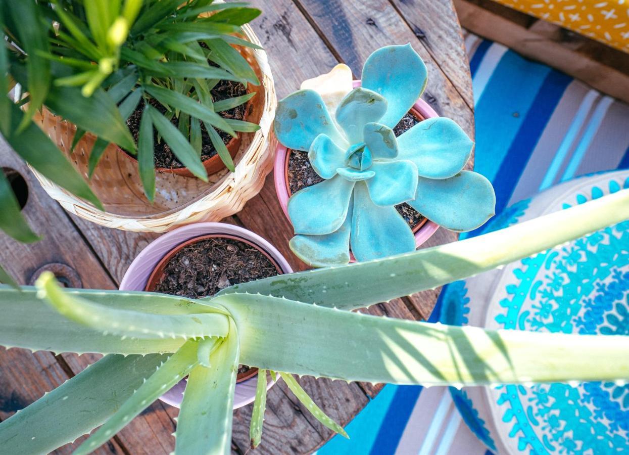 카를스루에 The Kalifornia I Stilvoll Mit Urlaubsfeeling I Dachterrasse I Klima 아파트 외부 사진
